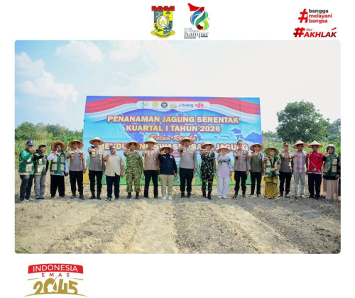 Pemkab Kampar Dorong Peningkatan Produksi Jagung Lewat Tanam Raya 2026